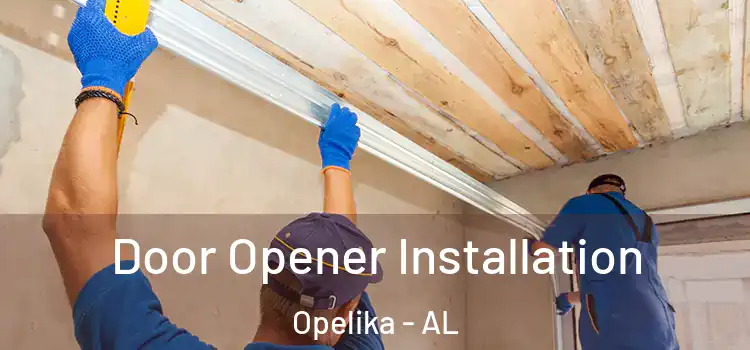 Door Opener Installation Opelika - AL