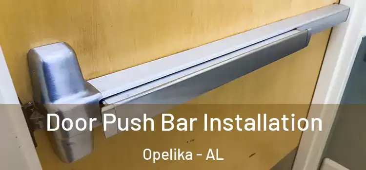 Door Push Bar Installation Opelika - AL