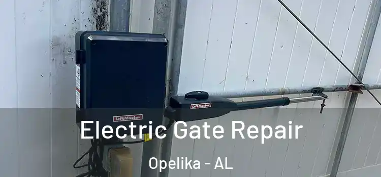 Electric Gate Repair Opelika - AL