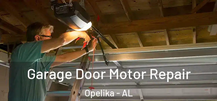  Garage Door Motor Repair Opelika - AL
