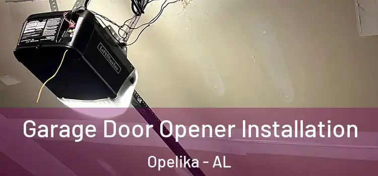  Garage Door Opener Installation Opelika - AL
