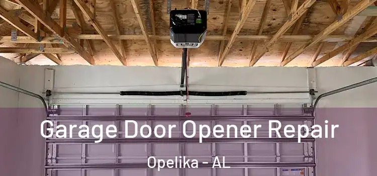  Garage Door Opener Repair Opelika - AL